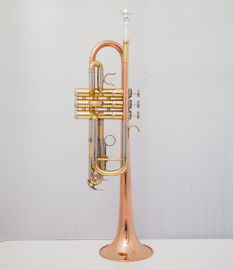 Musical Instrument Fagot - Instrumentos musicales profesionales para trompeta C,