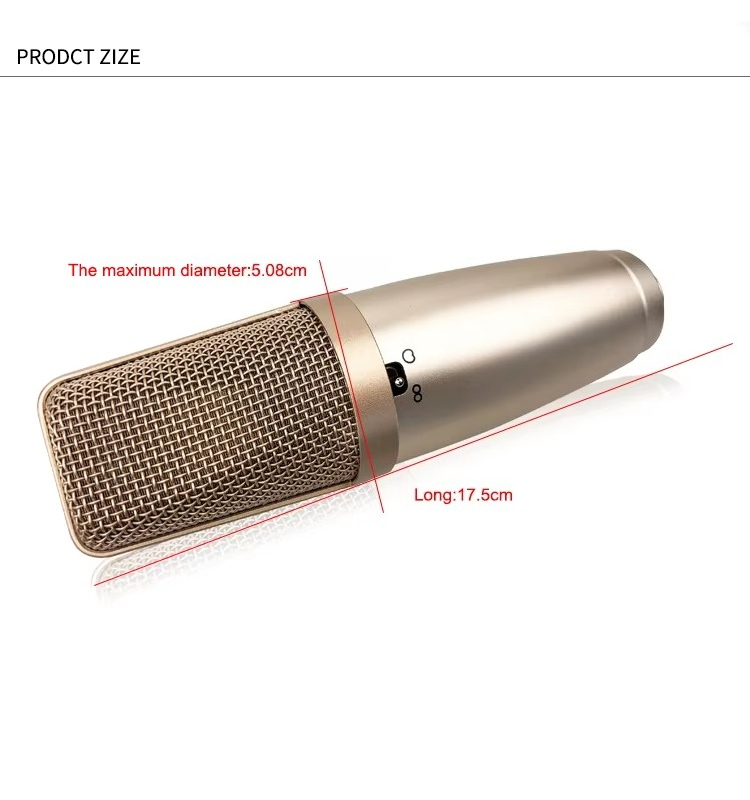 Nuevo micrófono para niños con - Song With Musical Instrument reseña y precio
